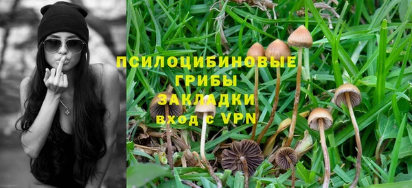 спайс Армянск