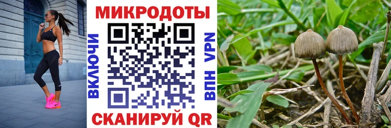 гидра   Пустошка  Псилоцибиновые грибы GOLDEN TEACHER  где найти  